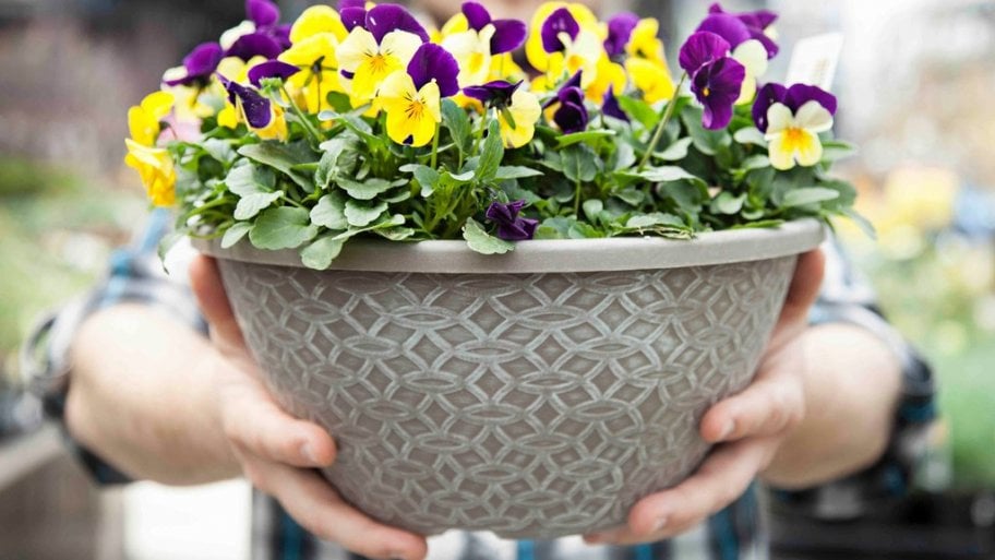 basket of flowers, gift of flowers